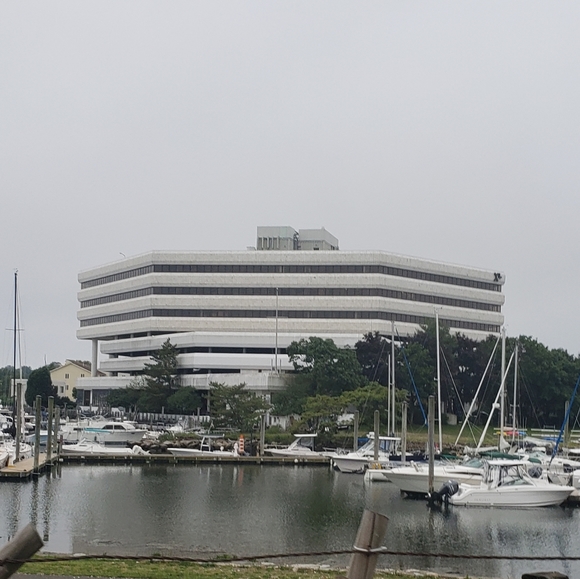 Meet your Posher, Joanie - Picture 9 of 9